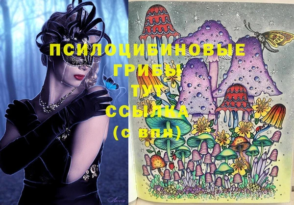 jwh Верея