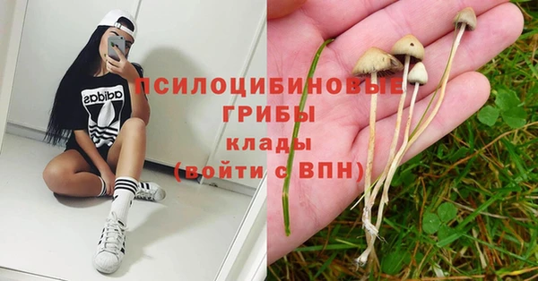 jwh Верея