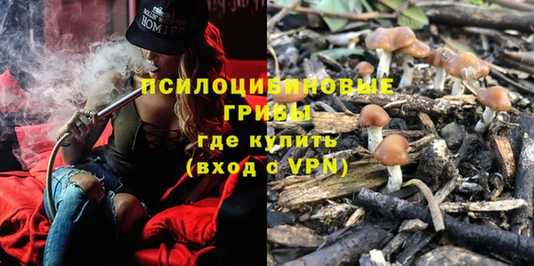 шишки Верхнеуральск