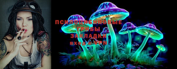шишки Верхнеуральск