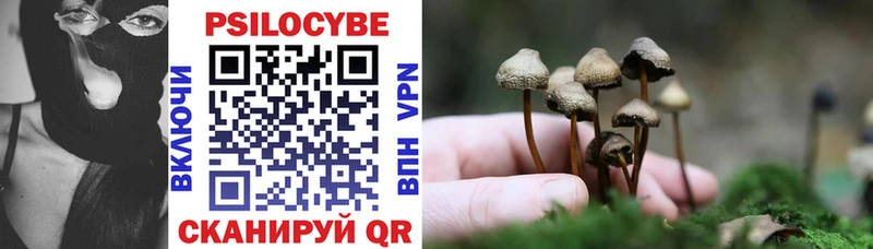 Купить  Межгорье  Псилоцибиновые грибы Psilocybe 